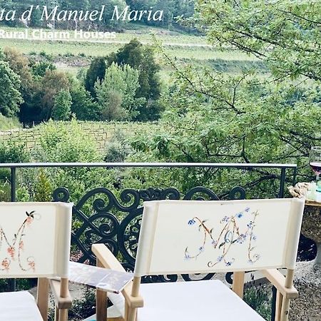 Amarante-Quinta D'Manuel Maria, Rural Charm Houses 외부 사진