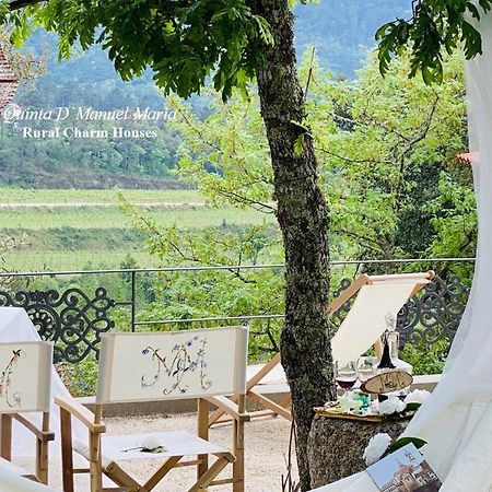 Amarante-Quinta D'Manuel Maria, Rural Charm Houses 외부 사진