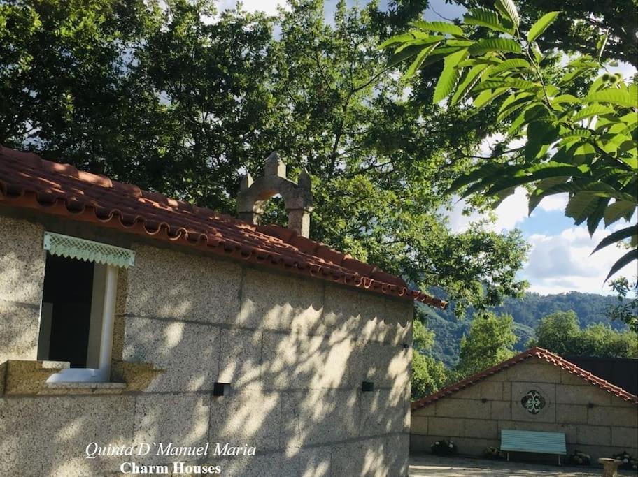 Amarante-Quinta D'Manuel Maria, Rural Charm Houses 외부 사진