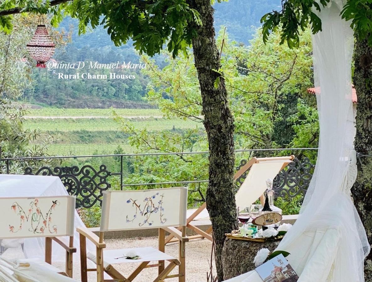 Amarante-Quinta D'Manuel Maria, Rural Charm Houses 외부 사진